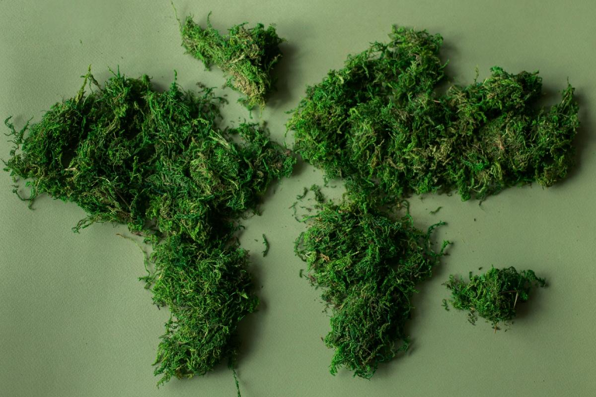 Mapa del mundo con plantas